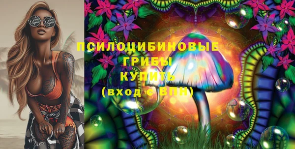 стаф Елизово