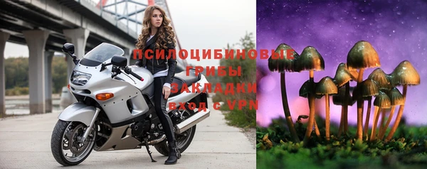стаф Елизово